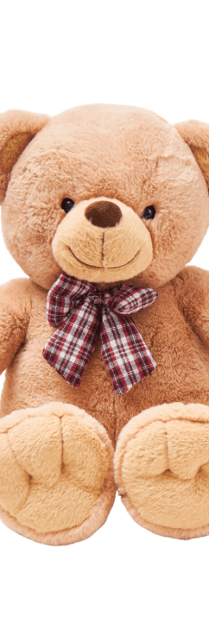 Gentleman teddy bear