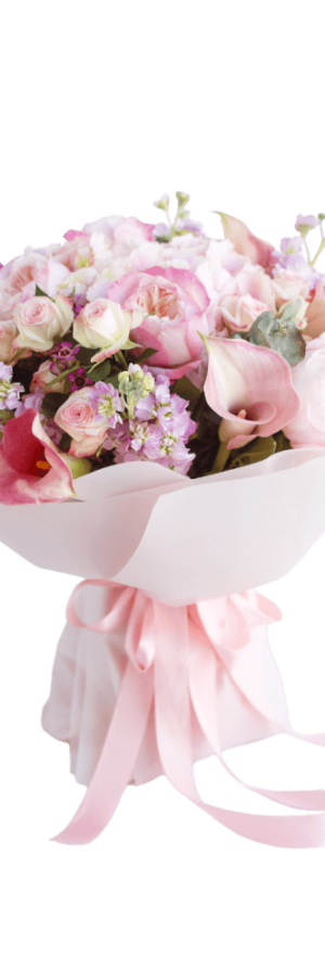 Pretty Pink Rose