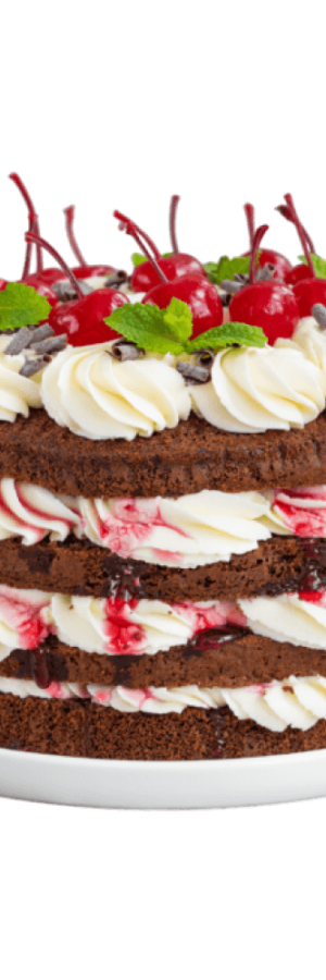Four-layer chocolate cake