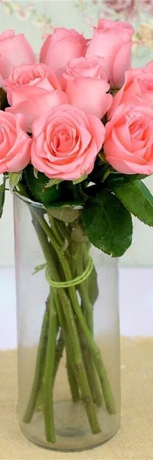 12 Pink Roses in a Glass Vase