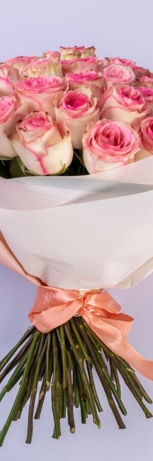 35 Shaded Pink Roses