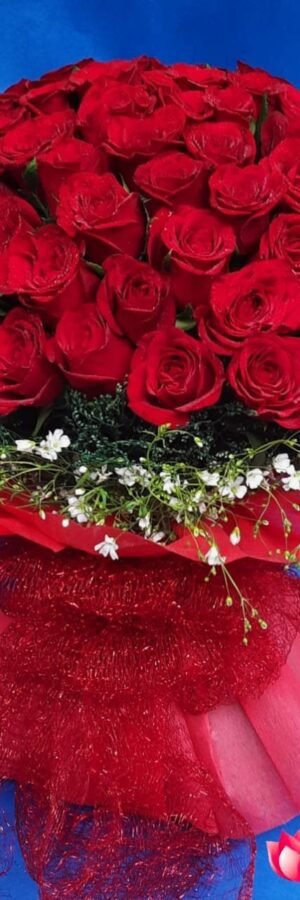 50 Red Rose Bouquet