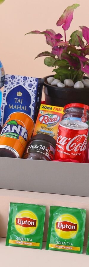 A Blend Of Hampers with Plant