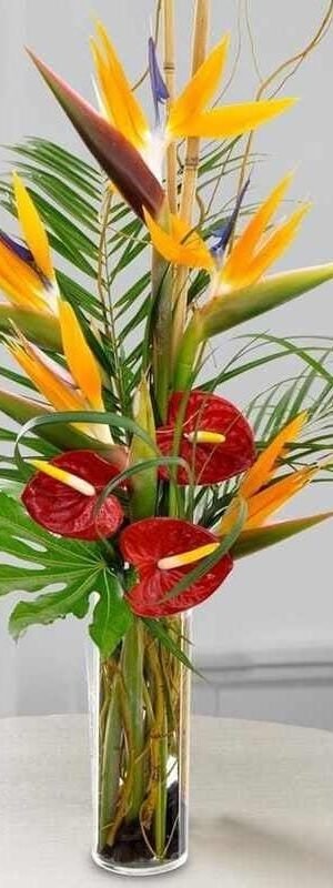 Anthurium & Birds of Paradise Arrange in Vase