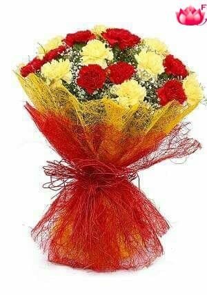 Awesome Carnation  Bouquet