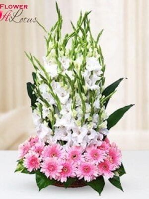 Basket of Gladioli & Gerberas