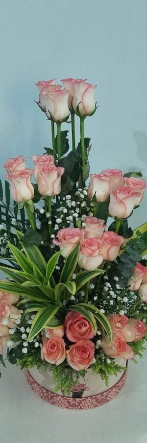 Beautiful 30 Pink Roses