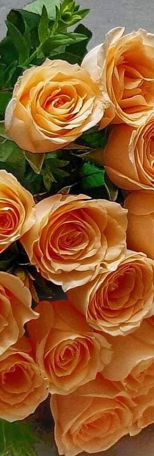 Beautiful Peach Roses Bouquet