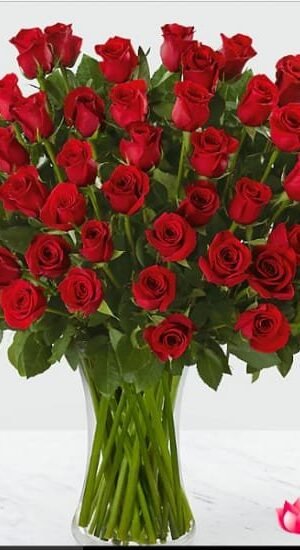Beautiful Red Roses in Vase