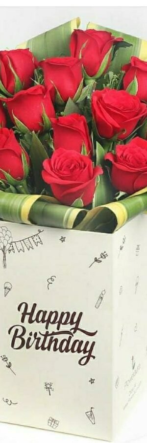 Birthday Gift
