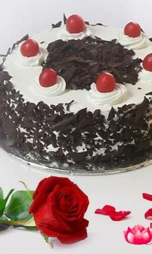 Black Forest Cake N Single Rose
