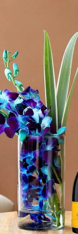 Blue Orchids N Champagne