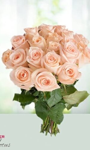 Bouquet Of 20 Peach Roses