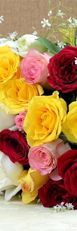 Bouquet Of 24 Colour Roses