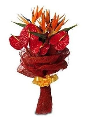 Bunch of Exotic Flowers