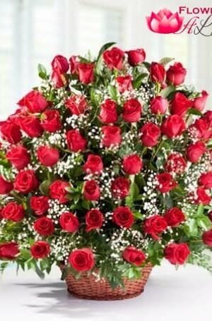 Charming Red Roses