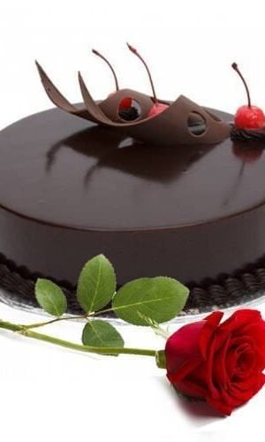 Chocolate Cake & Single Rose