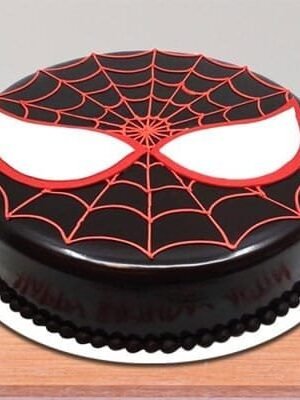 Chocolate Spiderman Cake