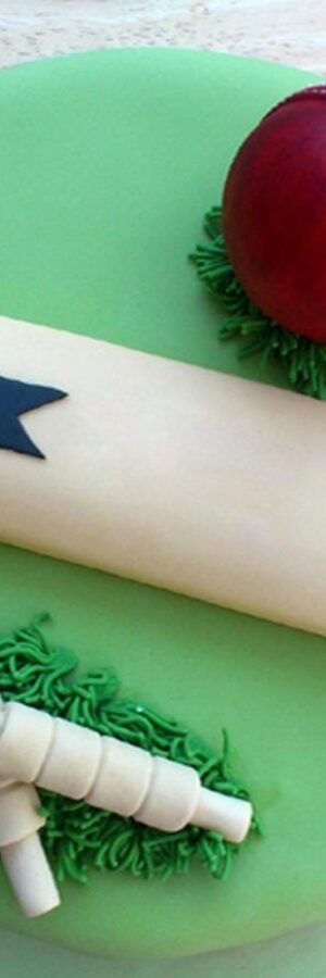 Cricket Chocolate Cake - 2 Kg.