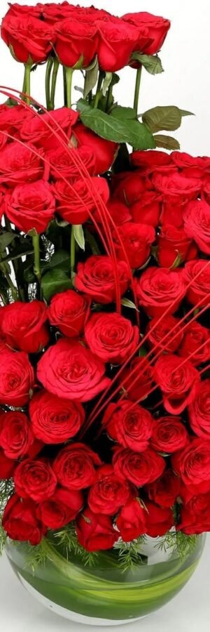 Cute 100 Red Roses Arrangement
