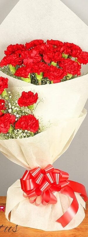 Carnival of Carnations