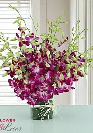 Exotic Purple Orchids In A Vase