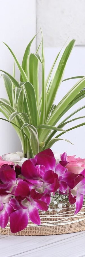 Flora & Fauna Ensemble