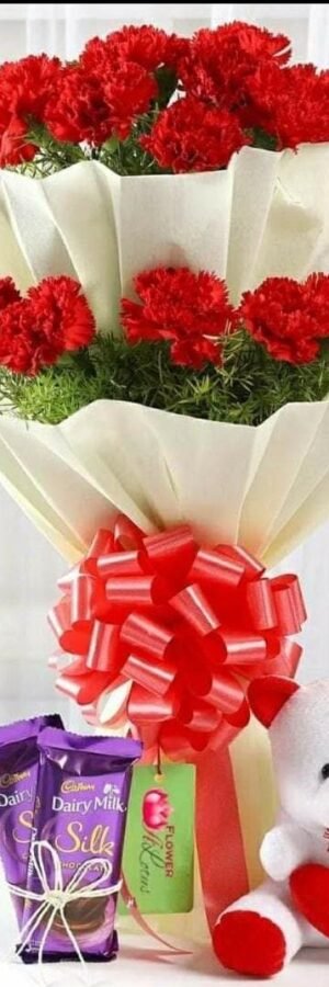Gift Carnation with Teddy N Chocolate
