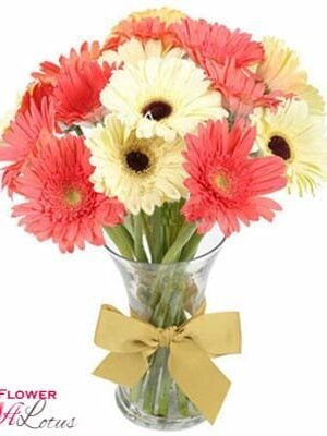 Lovely Gerberas IN A Glass Vase