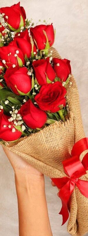 Lovely red roses
