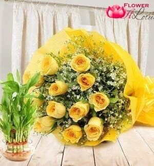 Lucky Bamboo N Roses Combo