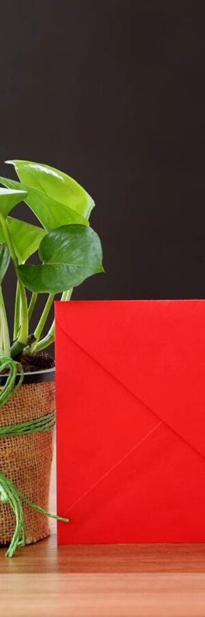 Money Plant Lucky Greetings