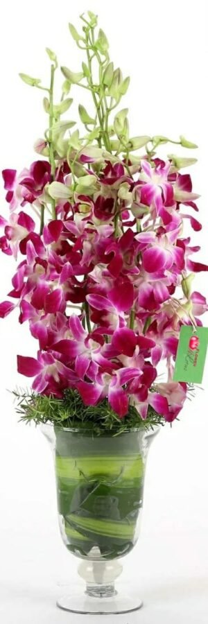 Orchid Vase