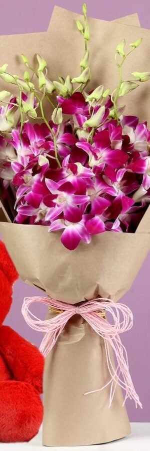 Orchids Pamper with Teddy