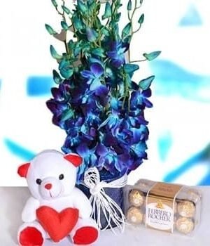 Orchids Rocher & Teddy