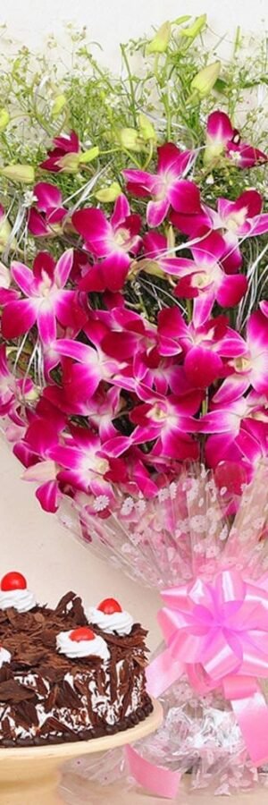 Orchids Special Combo