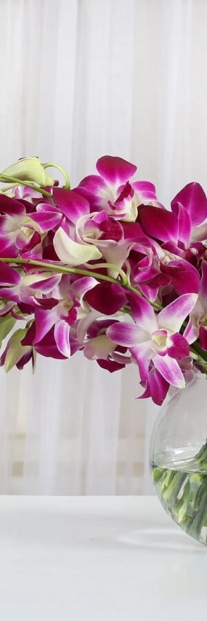 Orchids and Carnation in a bowl