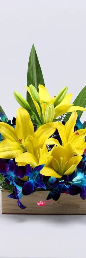 Orchids and Lilies Arrangement