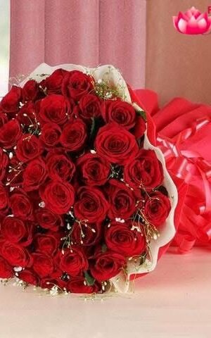 Passion 50 Red Roses
