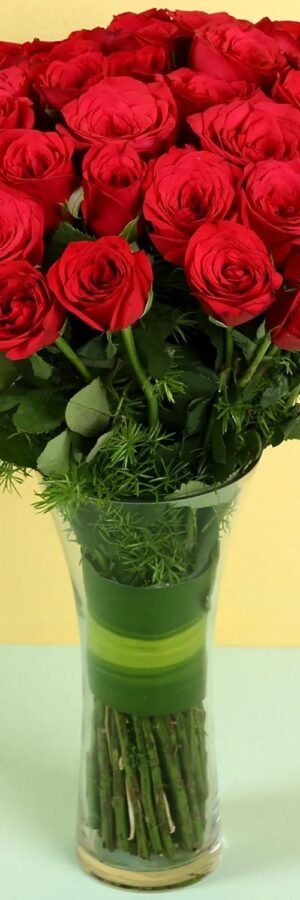Passionate Red Roses in a Vase