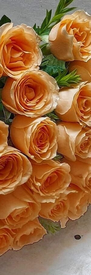 Beautiful Peach roses in a Glass Vase