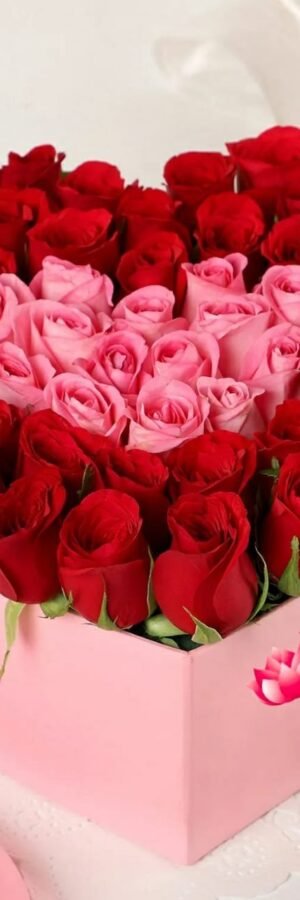 Pink N Red Roses Box