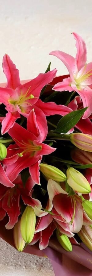 Pink Oriental Lily Bunch