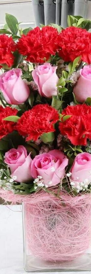 Red Carnation & Pink Roses In A Vase