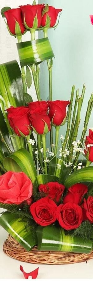 Red  Elan