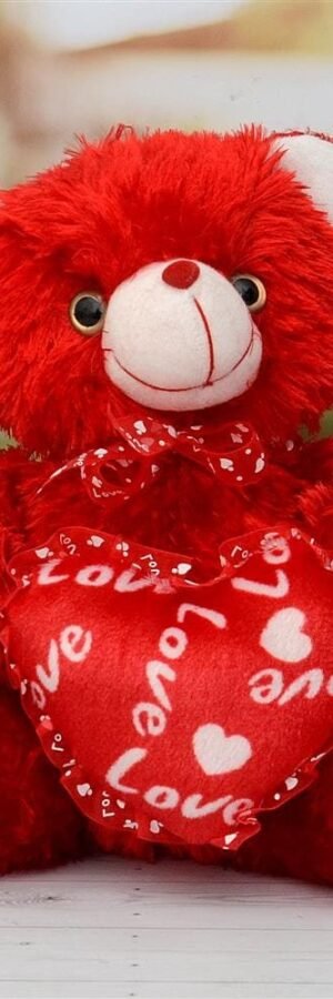 Red Teddy Bear