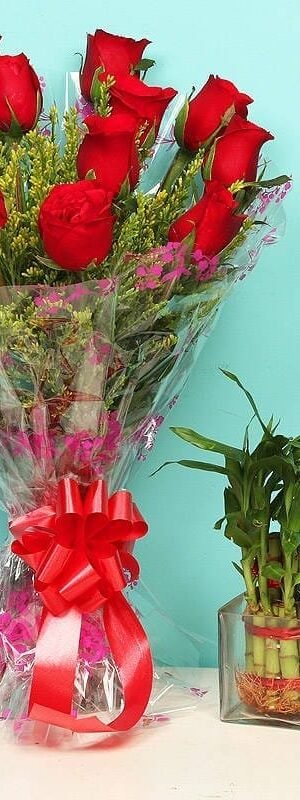 Red and Green Charming