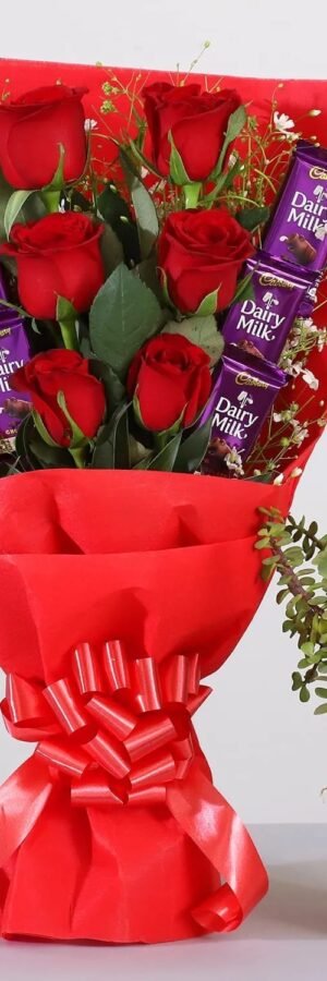 Red roses with jade plant & chocolate