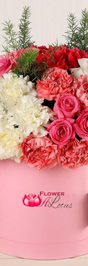 Refreshing Roses & Carnations Box