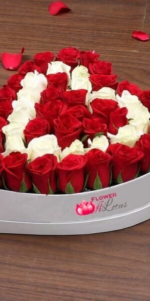 Special Delight Heart